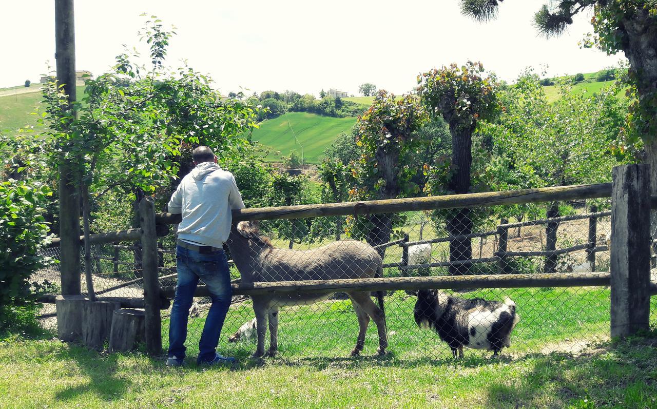 Azienda Agrituristica Colle San Giorgio Castiglione Messer Raimondo Екстер'єр фото