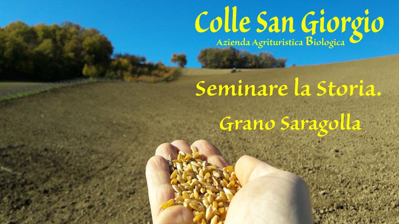 Azienda Agrituristica Colle San Giorgio Castiglione Messer Raimondo Екстер'єр фото