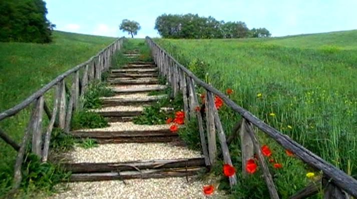 Azienda Agrituristica Colle San Giorgio Castiglione Messer Raimondo Екстер'єр фото